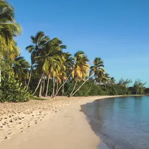Les plus belles plages de Sainte-Anne