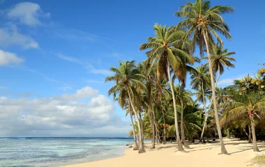 sainte-anne plage en guadeloupe