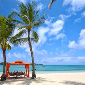La gastronomie à l'Île Maurice