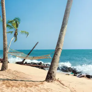 Le climat en Inde