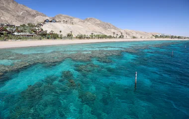 Baignade dans des criques sauvages en Égypte
