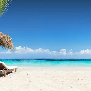 Voyage de noces en novembre