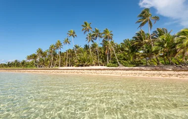 plages dans les Antilles