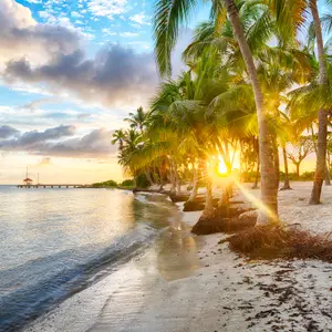Vacances de Noël en Guadeloupe