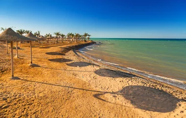 Préférez donc l’automne ou le printemps