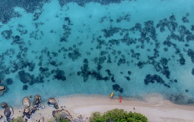 Quand partir faire du paddle en Martinique
