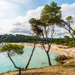 L'accrobranche à La Palmyre