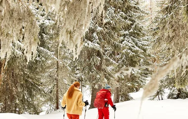 dos personas caminando por la nieve ente los pinos
