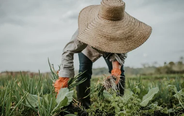 Hotel Club Med responsable con el medio ambiente