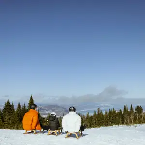 Três pessoas de costas admiram de longe a vista da montanha e da floresta de pinheiros.