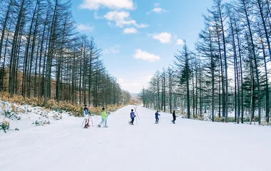 pista de esqui com cinco praticantes andando em fila