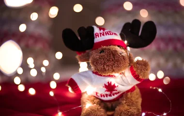 Urso de pelúcia com roupa do Canadá.