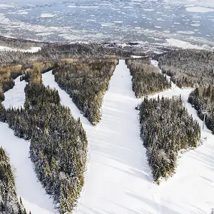 Floresta com neve em Le Massif.