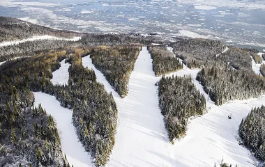 Floresta em Le Massif de Charlevoix.