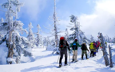 Grupo de pessoas caminhando na neve com raquetes.