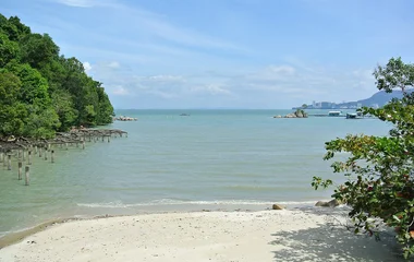 Praia com águas cristalinas, cercada pela natureza