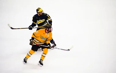 Dos jugadores de hockey de diferentes equipos.
