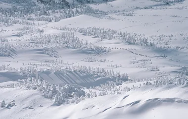 paisagem coberta de neve