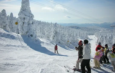 pessoas em pista de esqui