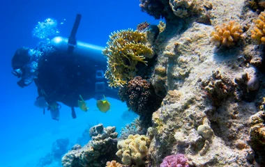 SCUBA DIVING IN TURKS & CAICOS