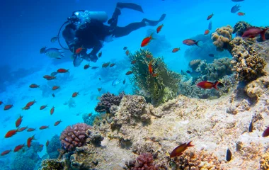 SCUBA DIVE IN THE TURKS & CAICOS