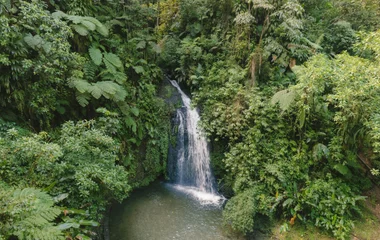 martinique nature waterfall