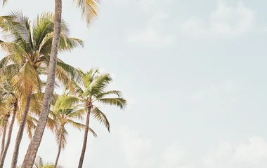 guadeloupe beach caravelle plage