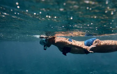 diving scuba sea bahamas