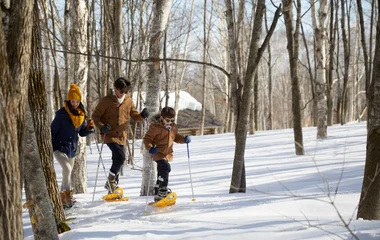 Snowshoeing