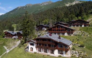 french alps summer