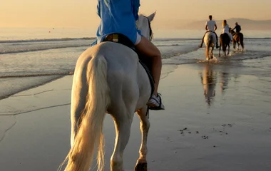Horseback Riding