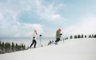 Snowshoeing with guides