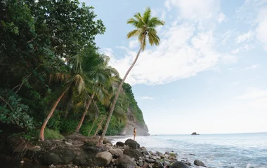 bucanneers creek martinique