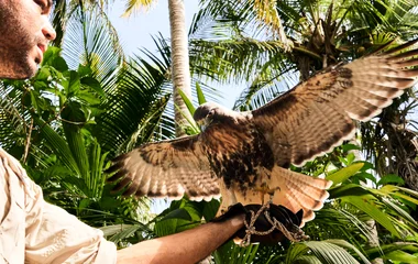 preservacion-de-la-naturaleza-en-resorts