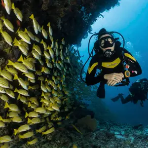 scuba diving at club med
