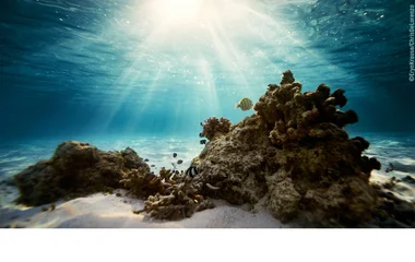 Redefined Luxury in Paradise