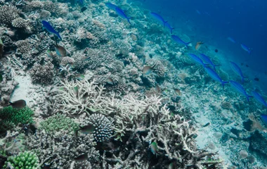 Give back while preserving natural gems