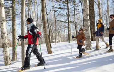 nordic walking snow resort