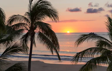 club med blog