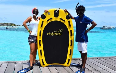A beach with turquoise water and palm trees