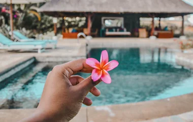 Tropical flower in Mauritius