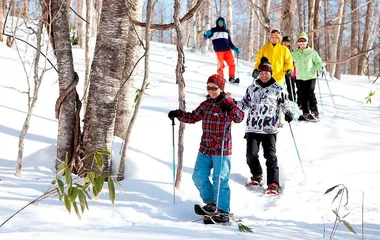 เล่นสกี ฮอกไกโด