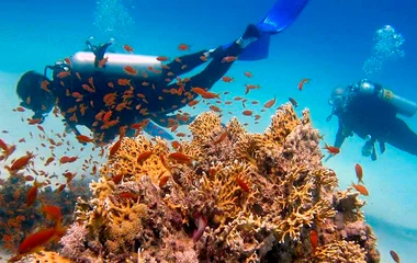 ดำนำภูเก็ต