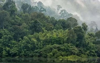 Roam around Sirinat National Park