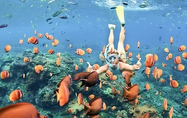 ทัวร์ดำน้ำชมความงามของท้องทะเลภูเก็ต