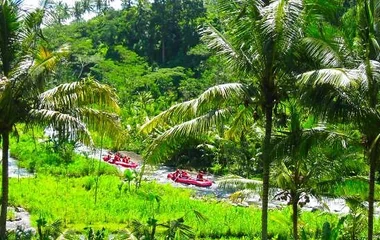 Ayung River