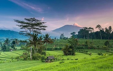 beautiful landscape in Bali