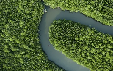 Tanjung Puting National Park