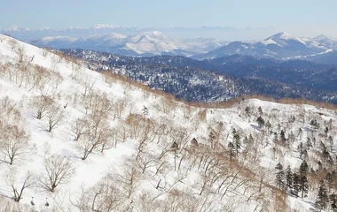 三重滑雪胜地: 发现亚布力、北大湖和长白山的魅力