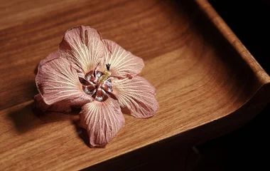 luxurious room with a view in club med snow resort